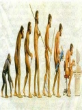 Poze Cu Evolutia Omului