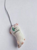 Cel Mai Adevarat Mouse
