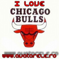 Chicago Bulls 2023