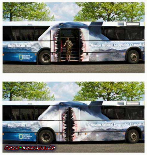 Poze Autobuz 2022
